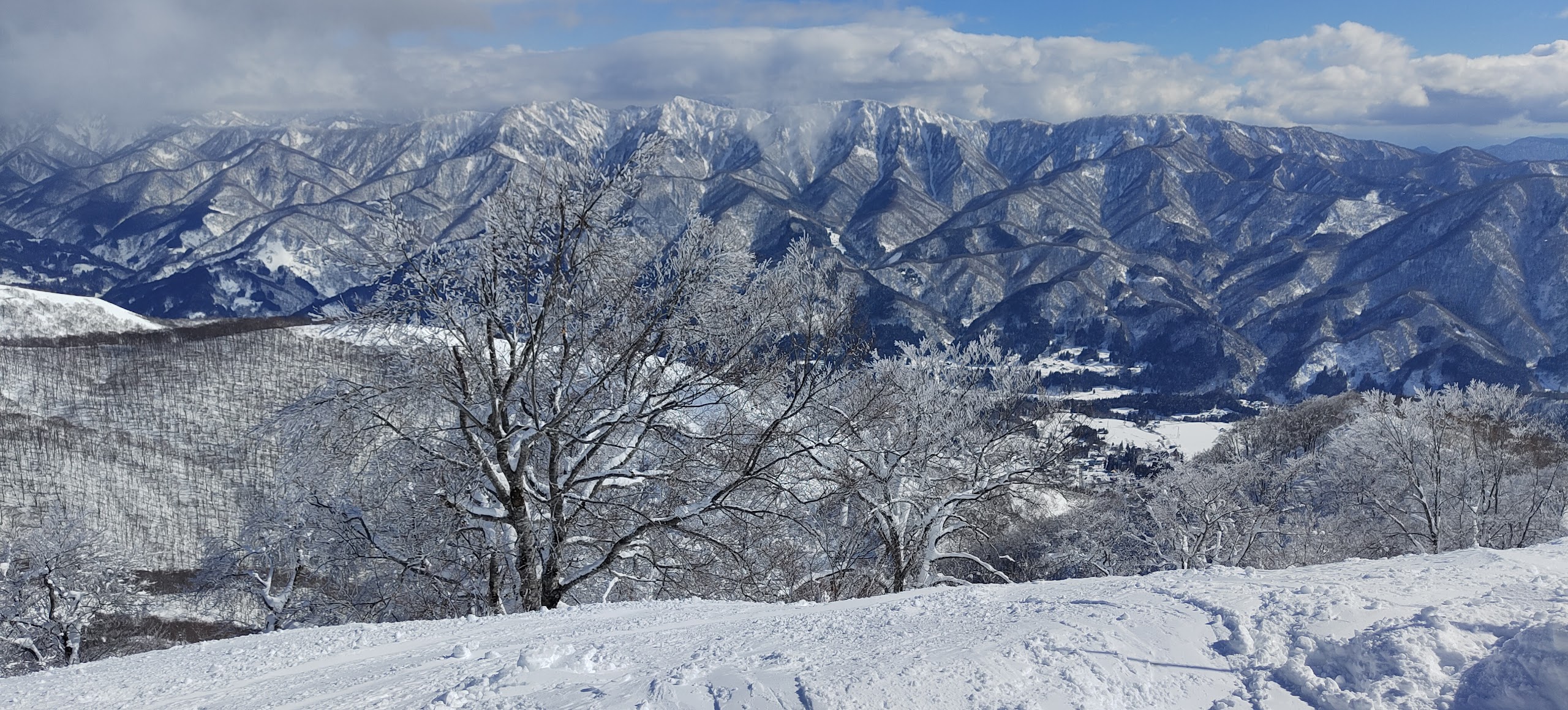 view of a ski area